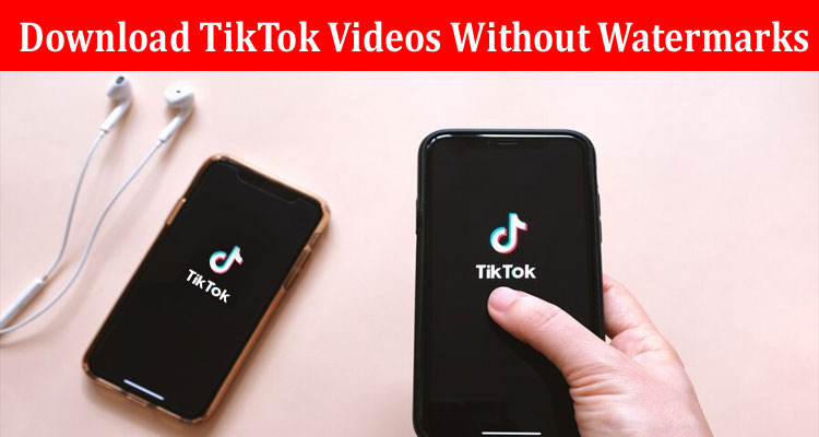 Complete Information About Download TikTok Videos Without Watermarks - Get a Clean Look For Your Posts!